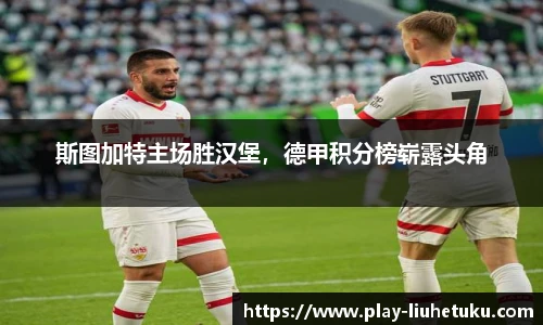 斯图加特主场胜汉堡，德甲积分榜崭露头角