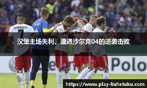 汉堡主场失利，遭遇沙尔克04的逆袭击败